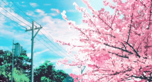 Cherry Blossoms Flower GIF - Cherry Blossoms Flower Sakura GIFs