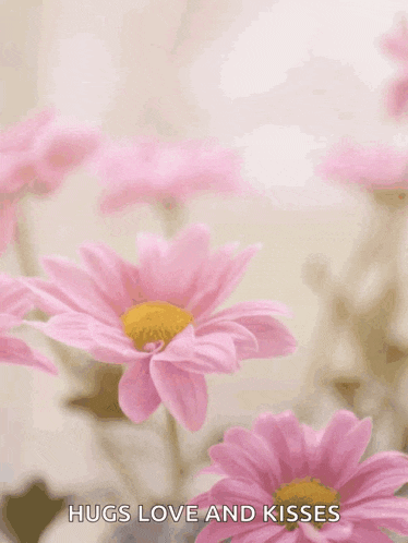 happy mother 's day hugs love and kisses with pink flowers