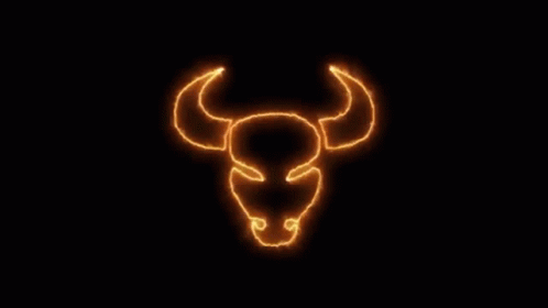 Bull GIF - Bull GIFs