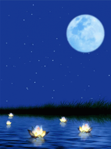 Moon Water GIF - Moon Water Lilies GIFs