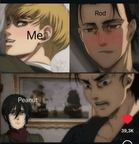 a meme of a man and a woman with the words rod and peanut below them