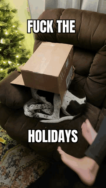 a dog is laying on a couch with a cardboard box in its head and the words fuck the holidays written above it