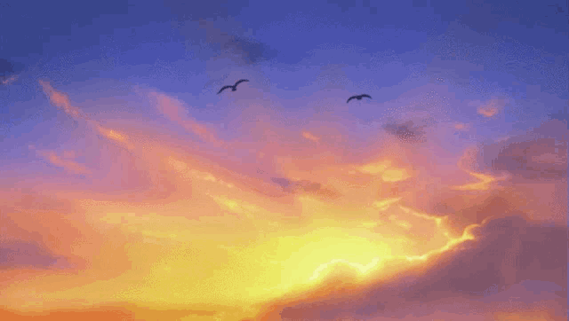 Sunset Seagulls GIF - Sunset Seagulls Calm GIFs