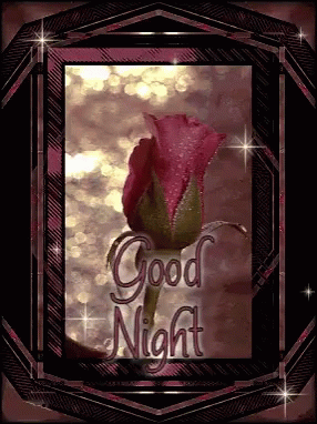 Sidhart Malhotra Good Night GIF - Sidhart Malhotra Good Night Rose GIFs