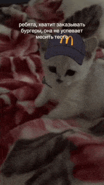 a cat wearing a mcdonald 's hat is laying on a blanket