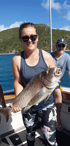 Whitehaven Hill Inlet Tours Full Day Fishing Charter GIF