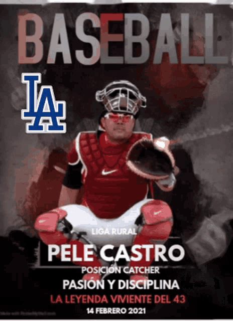 a poster for pele castro 's baseball game on february 14th
