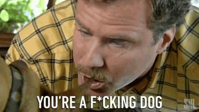 a man in a plaid shirt says you 're a f*cking dog