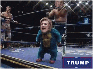 Hillary Clinton Wrestler GIF - Hillary Clinton Wrestler Wrestling GIFs