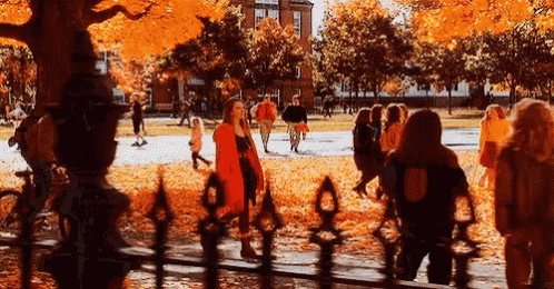 a group of people are walking in a park surrounded by trees and leaves .