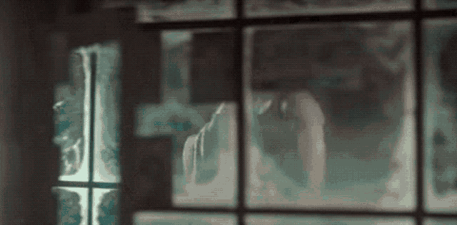a person is standing in front of a window with a reflection of a person in the window .