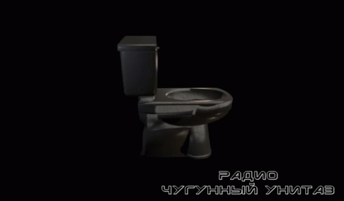 унитаз Toilet GIF - унитаз Toilet Spin GIFs