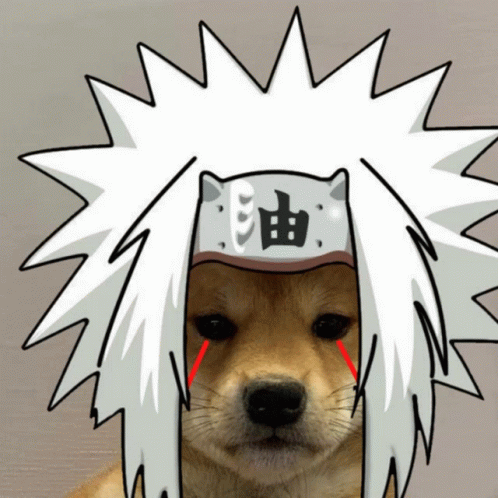 Jiraiya As A Dog Epic Pervy Sage GIF