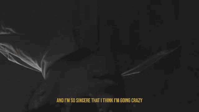 a black and white photo with the words and i 'm so sincere that i think i 'm going crazy in yellow
