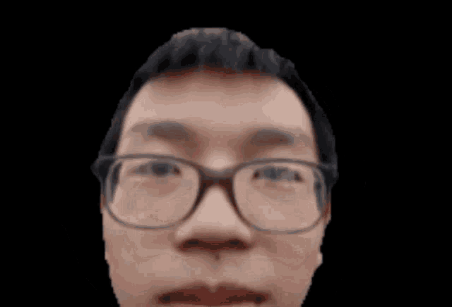 Stizo GIF