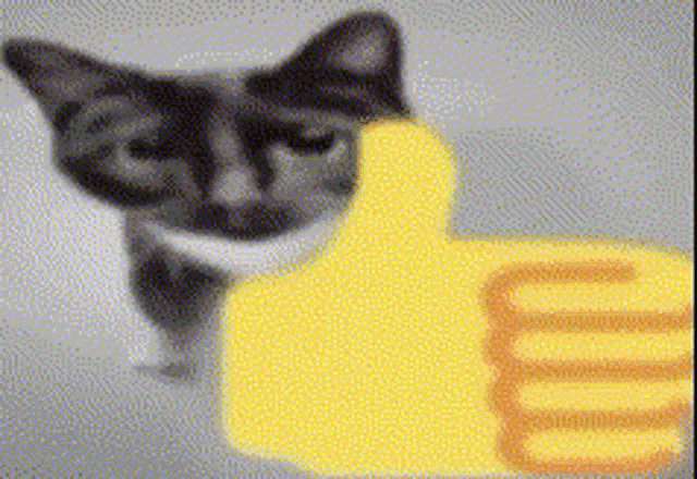Cat Thumbs Up Cat GIF - Cat Thumbs Up Cat Thumbs Up GIFs