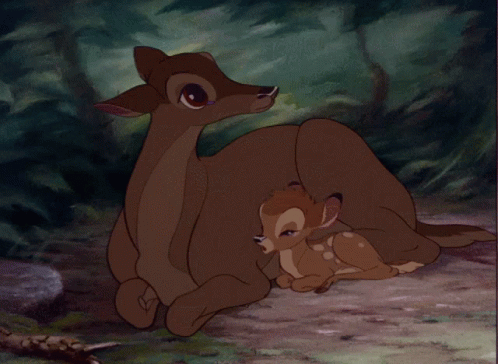 Bambi Mother GIF - Bambi Mother GIFs