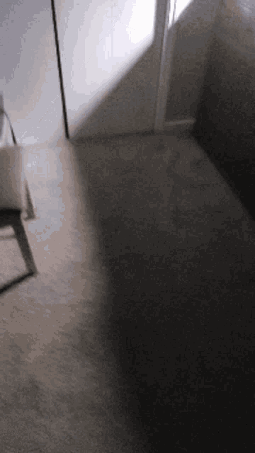 a shadow of a person is cast on a carpeted floor