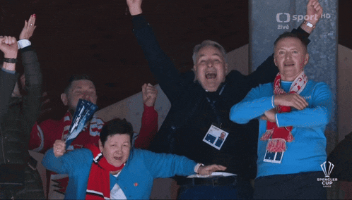 a group of people with their arms in the air and the word sport hd on the bottom