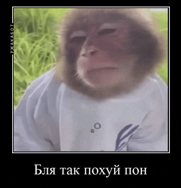 a monkey is wearing a white shirt and a hat and making a funny face .