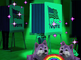 Vote Democracy GIF - Vote Democracy I Love Democracy GIFs