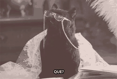 a black cat wearing glasses and a crown is sitting on top of a table .