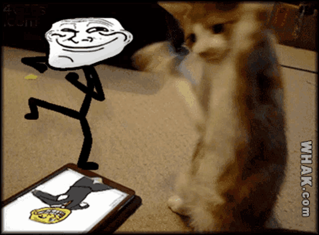 a cat is standing next to a troll face and a tablet