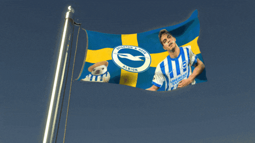 a flag with a picture of a man and the words albion on it