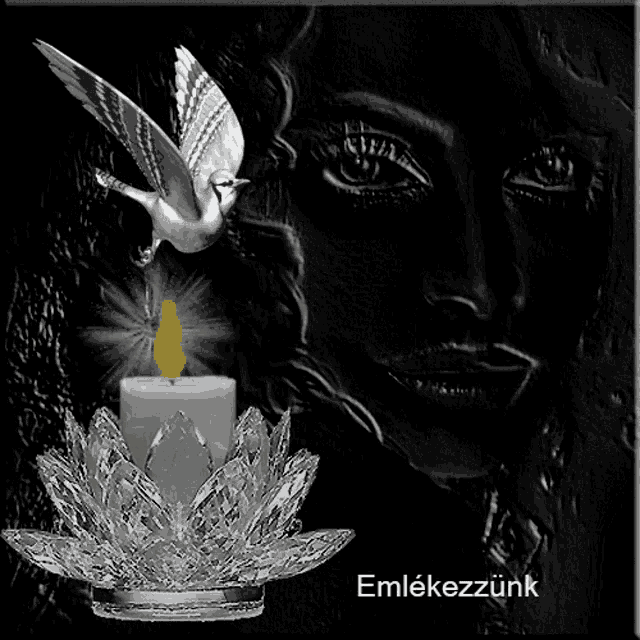a black and white photo of a woman with a candle and a hummingbird with the words emlekezzunk written on the bottom