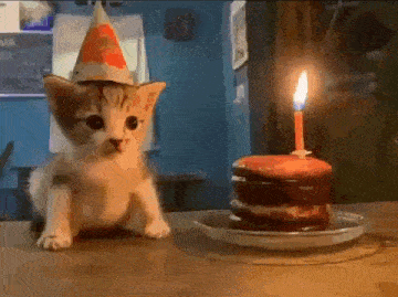 a kitten wearing a party hat is sitting in front of a birthday cake with a candle on it .