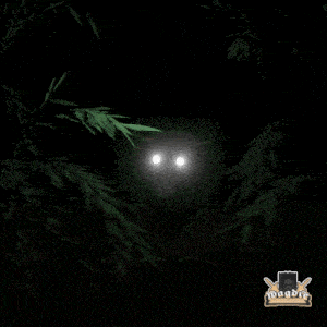 a drawing of a monster with glowing eyes and the word megbry on the bottom right