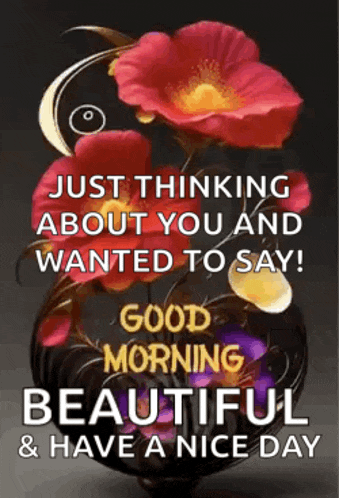 just thinking about you and wanted to say good morning beautiful and have a nice day