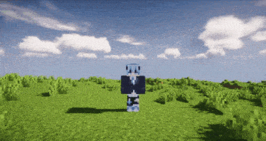 a minecraft character stands in a grassy field with a blue sky in the background