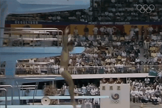 Rotating Spin Dive International Olympic Committee250days GIF - Rotating Spin Dive International Olympic Committee250days Flawless Dive GIFs