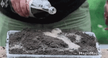 a person is pouring water from a bottle into a plastic container filled with dirt .