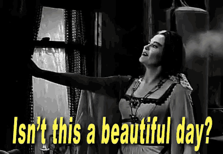 a black and white photo of a woman looking out a window with the caption " isn 't this a beautiful day ? "