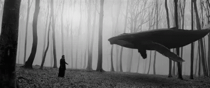 Mysterious GIF - Whale Forest GIFs