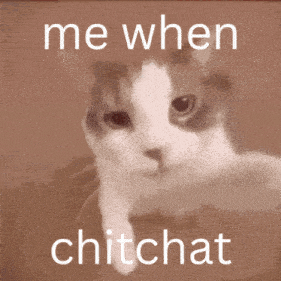 a picture of a cat with the words me when chitchat