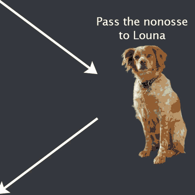 a dog sitting next to a bone with the words pass the nonosse to louna below it