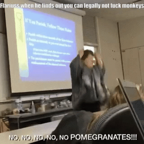 Flariuss Monkey GIF - Flariuss Monkey Flariuss When He Finds Out You Can Legally Not Fuck Monkeys GIFs