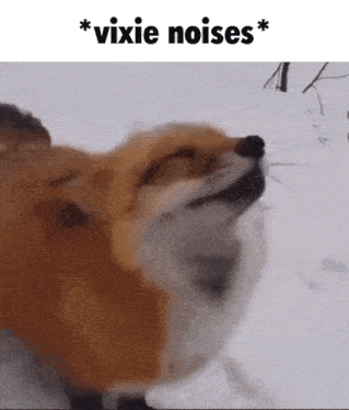 Vixie Vixie Noises GIF - Vixie Vixie Noises GIFs