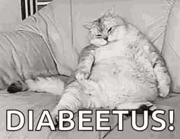 a black and white photo of a fat cat sitting on a couch with the words `` diabeetus '' written on it .