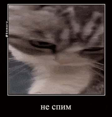 a close up of a cat 's face in a frame with russian writing on it .