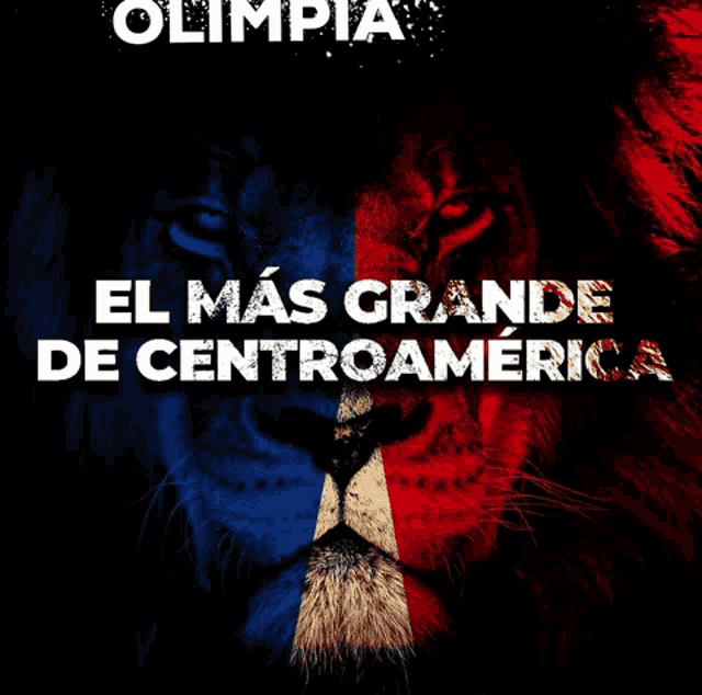 Olimpia Olimpia Campeón GIF - Olimpia Olimpia Campeón El Más Grande De Centroamérica GIFs