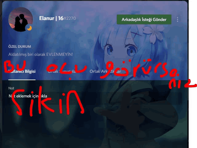 a screenshot of a person 's profile with the name elanur 16 # 2270