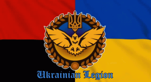 Ukrainian Legion Ukraine Flag GIF - Ukrainian Legion Ukraine Flag Ukraine GIFs
