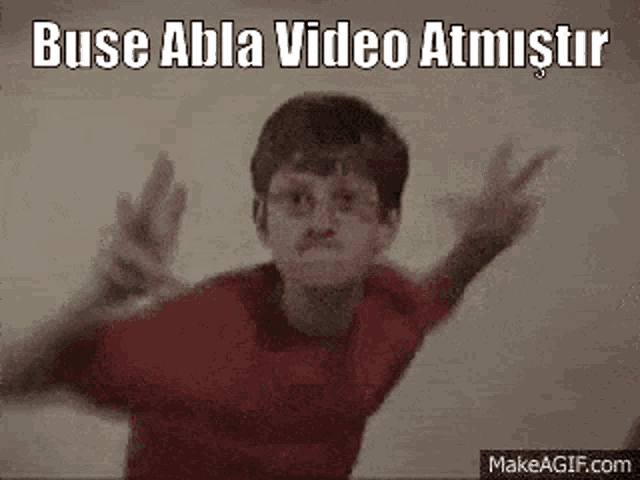 Busemania GIF