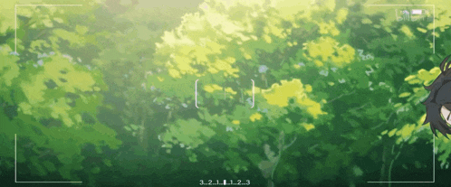 a picture of a forest with the numbers 3 2 1 1 2 3 visible