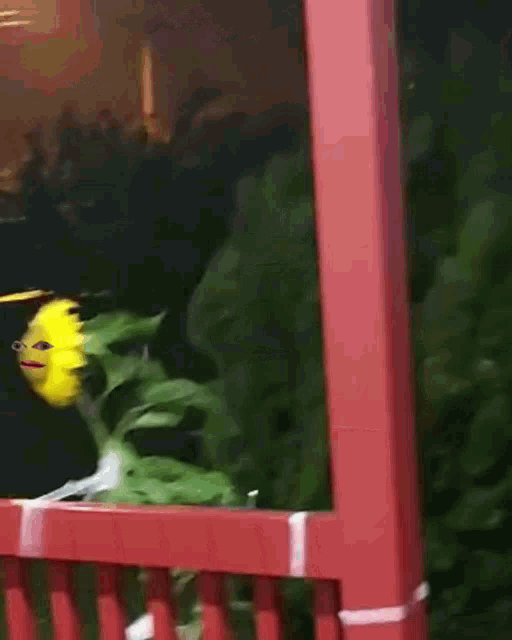 Funny Flowers GIF - Funny Flowers GIFs