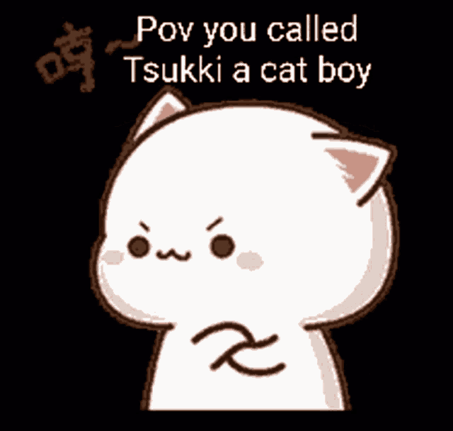 a cartoon cat with the words pov you called tsuki a cat boy